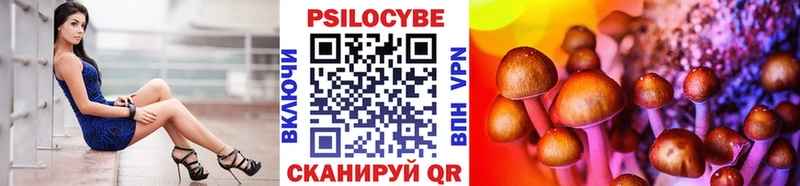 Купить где Новотитаровская Псилоцибиновые грибы Cubensis